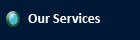 Our Services